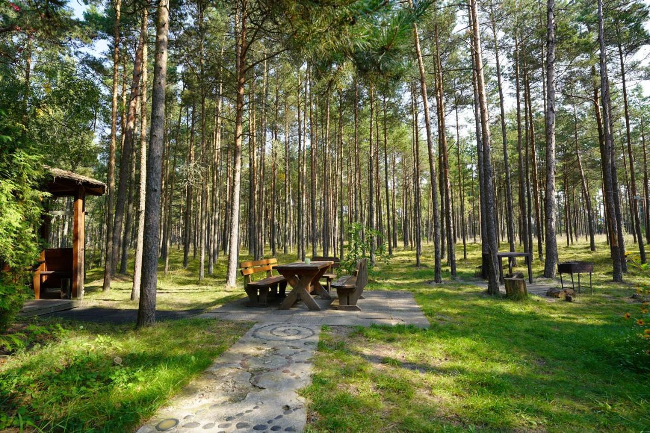 Forest Cottage Neringa Bagian luar foto