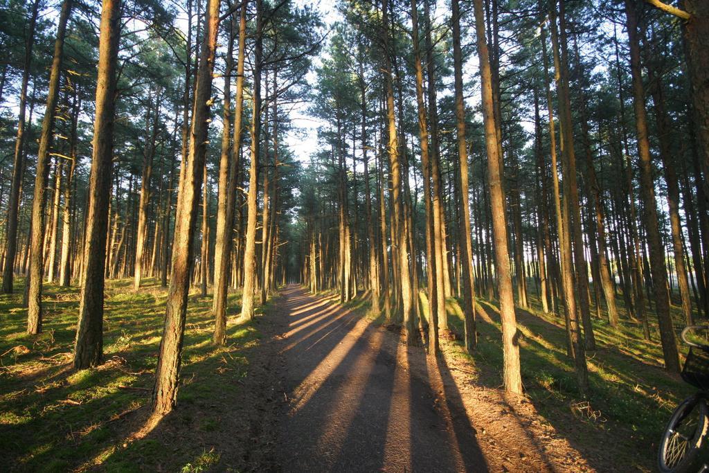 Forest Cottage Neringa Ruang foto